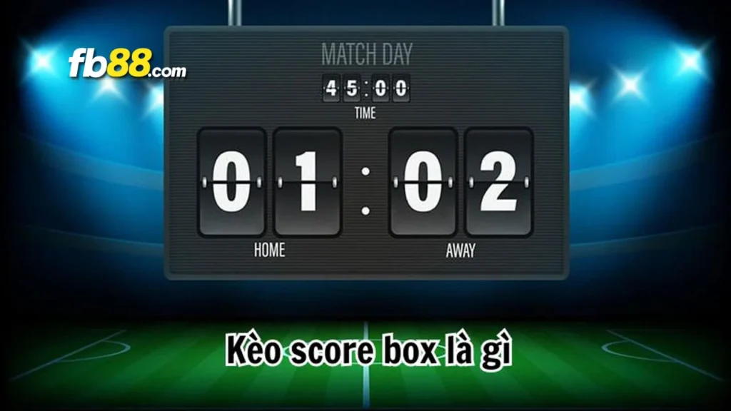 Kèo Score box là gì? Chia sẻ kinh nghiệm cho tân binh!